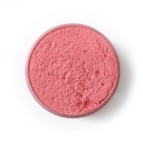 Plaster for sculpture painting Coralline