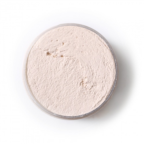 Plaster for sculpture painting Tea rose