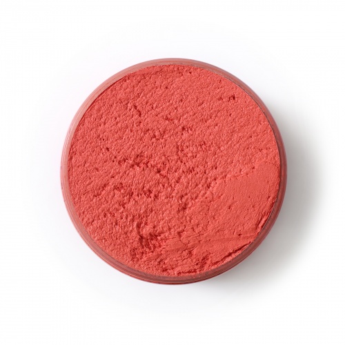 Plaster for sculpture painting Poppy