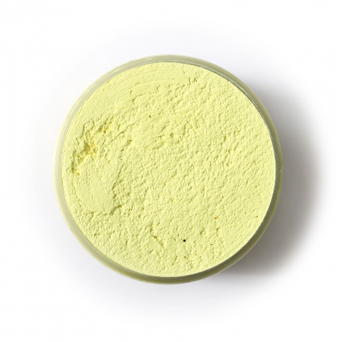 Plaster for sculpture painting Lemon