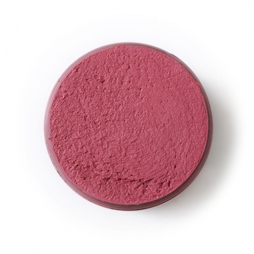 Plaster for sculpture painting Bordoux
